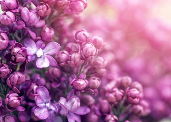 Foto op Plexiglas Lilac flowers background © Mariusz Blach