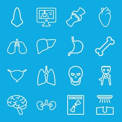 Set of 16 anatomy outline icons