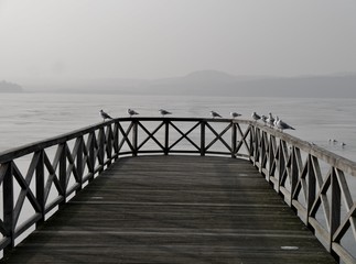Fototapeta premium Möwen sitzen auf Seebrücke vor zugefrorenem See