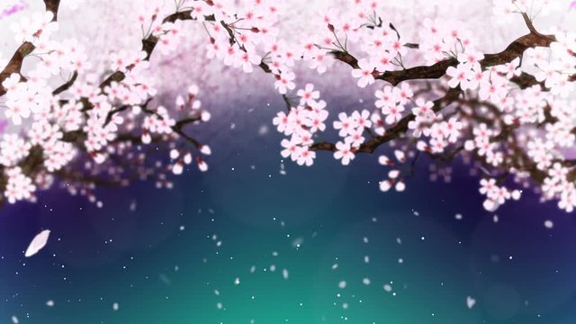 満開になる桜の花びら 緑 ループ