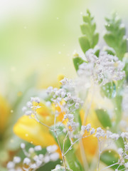 Beautiful abstract light and blurred soft background with flowers.