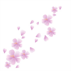 
Bouquet of Sakura and flying petals isolated on white background. Apple-tree flowers. Cherry blossom. Vector 