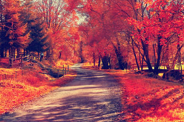 Naklejka na ściany i meble Autumn scene with road. Road in autumn mountains. Beskid Mountains. Poland