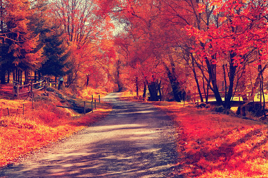 Autumn scene with road. Road in autumn mountains. Beskid Mountains. Poland
