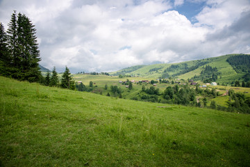 Fototapeta premium beautiful forest landscape in the Carpathian mountains
