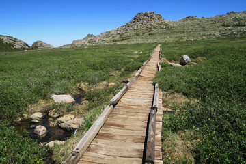 Fototapeta na wymiar wooden raised trail