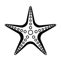 starfish animal isolated icon vector illustration design