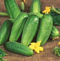 Cucumbers with flowers