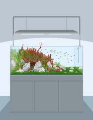 Natural home aquarium with fish and plants
