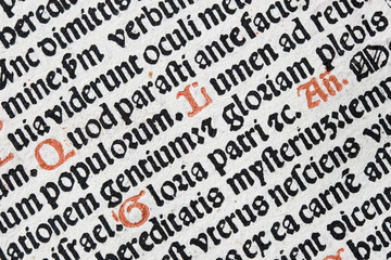 latin text detail