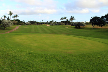 Fototapeta na wymiar Golf course with tropical palm trees, Ko Olina, Oahu, Hawaii, USA