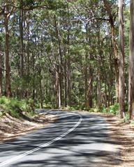 Caves road