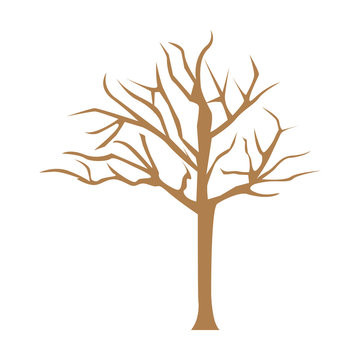 color bare oak tree icon, vector illustraction design image