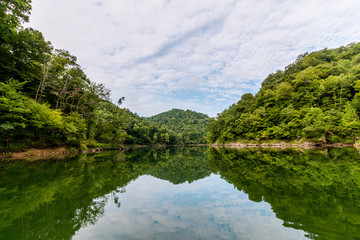 Forest Reflecting on Surface of Lake