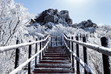 the frozen stairway and hoarfrost on the tree in beautiful sunny day. due to set F22.0, sunlight is split into several lights.