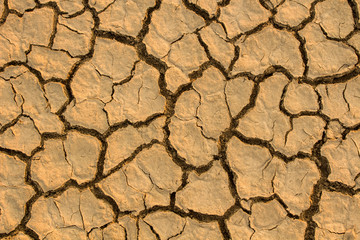 Drought, global warming, environment changes suddenly.