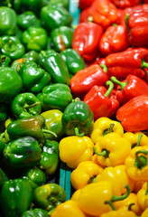 Ripe Yellow, Red and Green Peppers in Vegetables Market