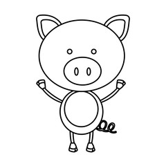 monochrome contour with male pig vector illustration
