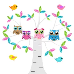 Fotobehang Four owls on a tree with birds © sa6kaa