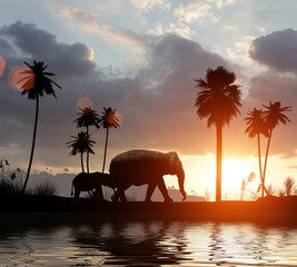 family of elephants going at sunset among the palms