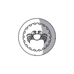 sticker monochrome line contour with crab in circular emblem vector illustration