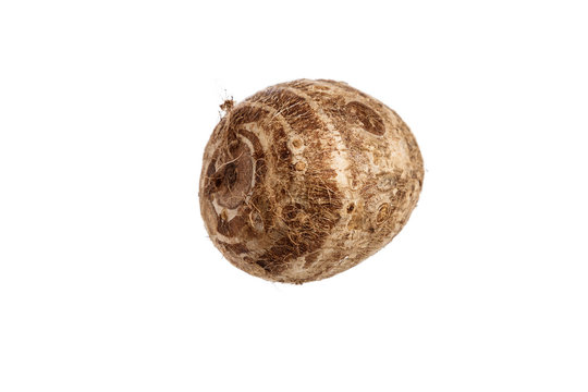 Taroes on a white background