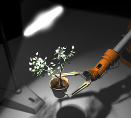 3d three-dimensional robot holds the plant under the light