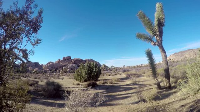 Pan Time lapse of a rocks and Joshua trees, at a road in Joshua tree national park, in California, United states of america