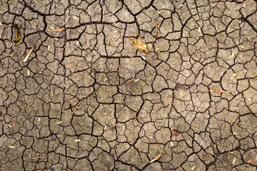 Natural dry soil crack texture background
