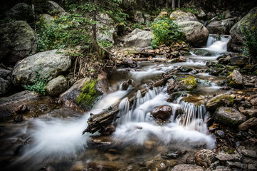 Rocky Mountain River