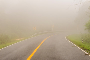 Foggy road in the morning at National Park