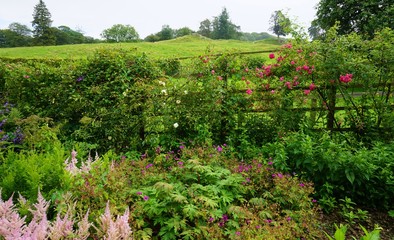 Fototapeta na wymiar A traditional English cottage garden