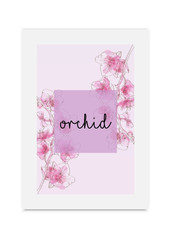 Orchid vector illustration hand drawn painted watercolor