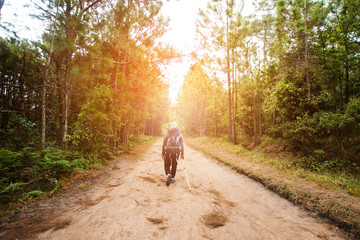 hiking in forest with sunlight, low key with soft focus