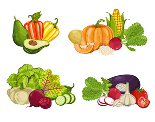 Fresh organic vegetable composition isolated vector illustration. Locally grown food, vegetarian nutrition, organic healthy diet. Natural vegetable set with pepper, cabbage, zucchini, carrot, pumpkin