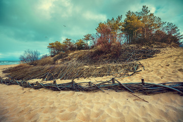 Obraz premium Coast of the Baltic Sea in Palanga, Lithuania