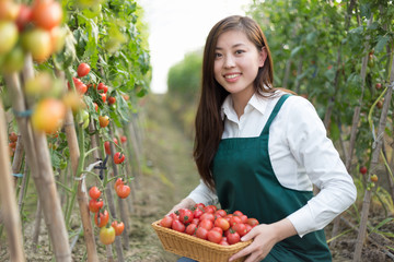 young beautiful asian woman works in green field