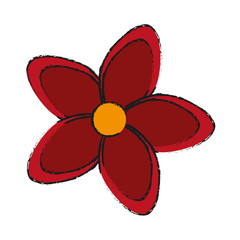 single red flower icon image vector illustration design 