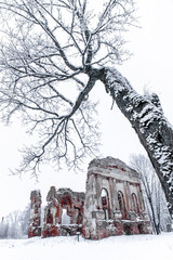 Ruins of the old church in a winter day