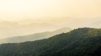 landscape of Doi Pui Chiangmai Thailand