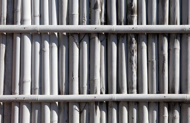 White bamboo fence