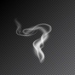 Smoke realistic isolated vector illustration on transparent background