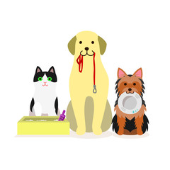 Small group of dogs and cat who needs services