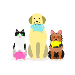 Small group of dogs and cat with piggy bank