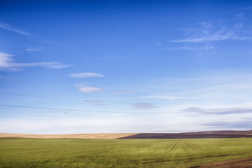 Sown field, spring training. Farm land. The hills on the horizon. Bright spring colors.