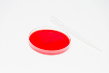 Petri Dish