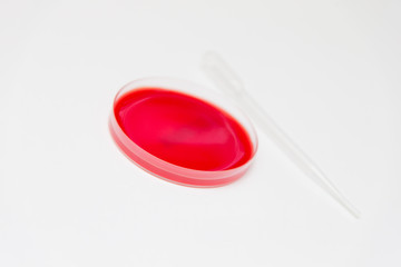 Petri Dish