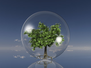 tree in a glass ball