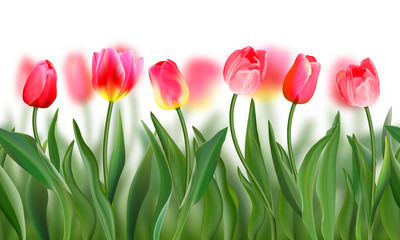 Seamless pattern with realistic pink tulips flowers and petals. Vector illustration. Ornament for fabric, wallpaper, postcards, cards, etc.