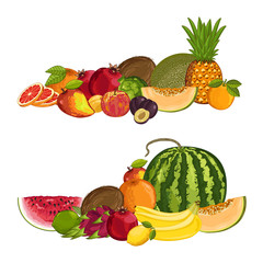 Fresh organic fruit composition isolated vector illustration. Harvest juicy fruit, vegetarian delicious nutrition, organic healthy diet. Pineapple, melon, orange, watermelon, plum, apple, coconut